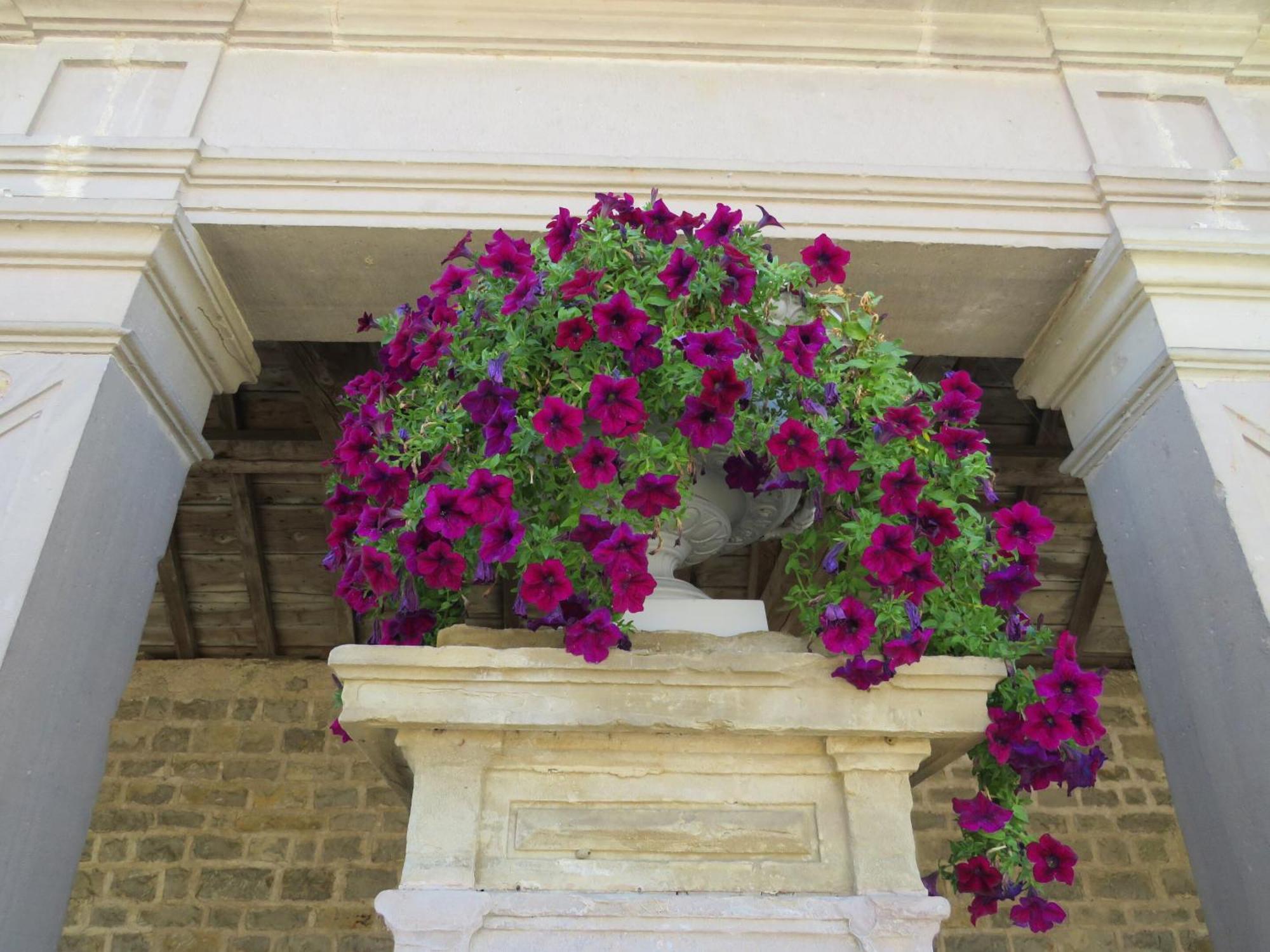 Grange D'Anjeux Bed & Breakfast Екстер'єр фото